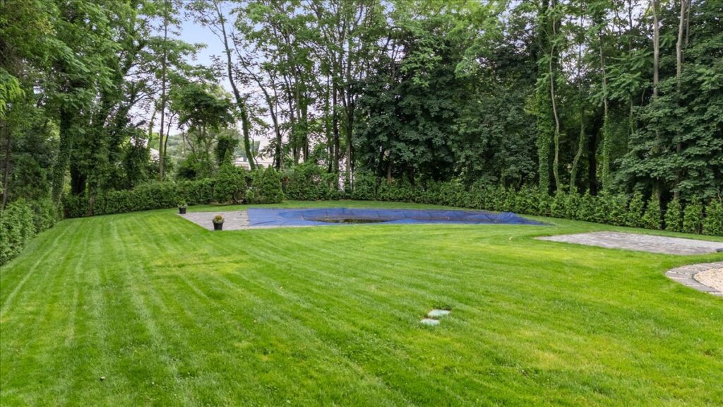 49-DJI_20260627140607_0004_D 49-DJI_20260627140607_0004_D